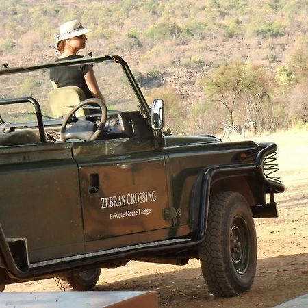 Zebras Crossing Private Game Lodge Модимолле Экстерьер фото