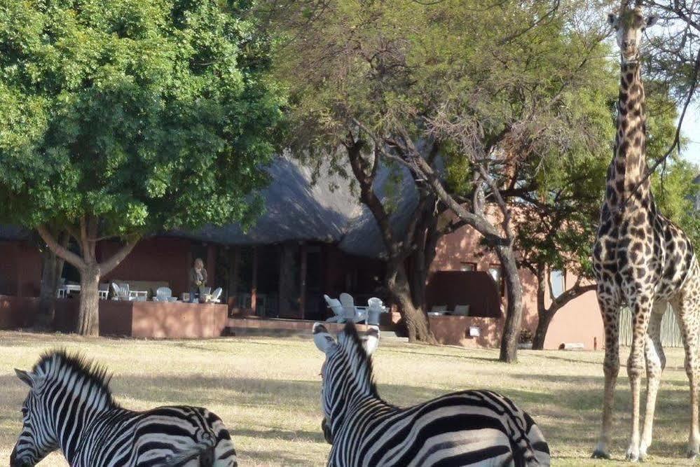 Zebras Crossing Private Game Lodge Модимолле Экстерьер фото
