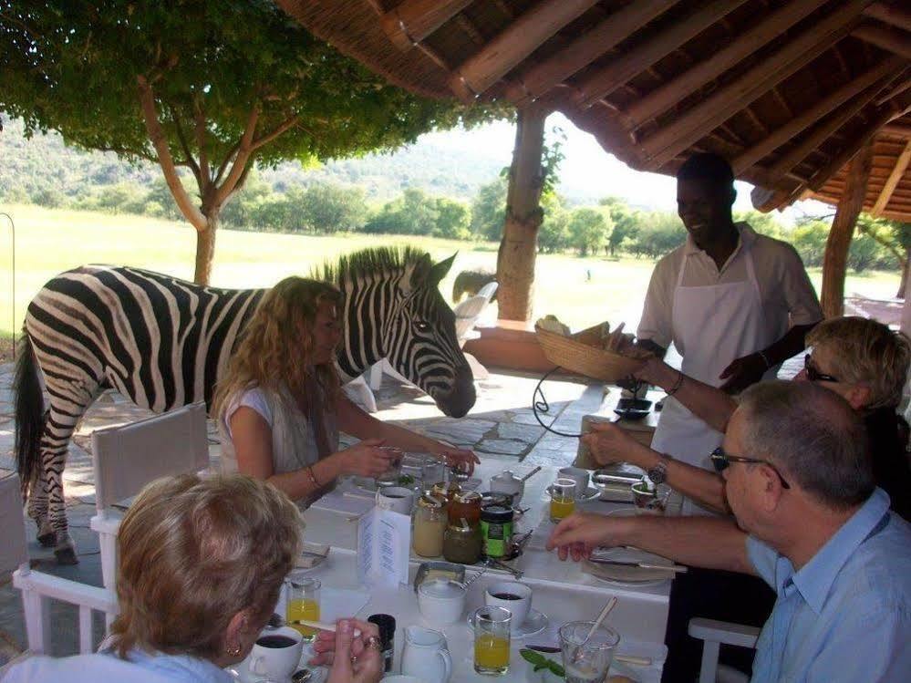 Zebras Crossing Private Game Lodge Модимолле Экстерьер фото